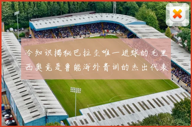 冷知识揭秘巴拉圭唯一进球的毛里西奥竟是鲁能海外青训的杰出代表
